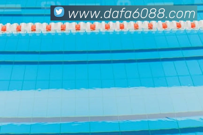 大发彩票娱乐平台生态图