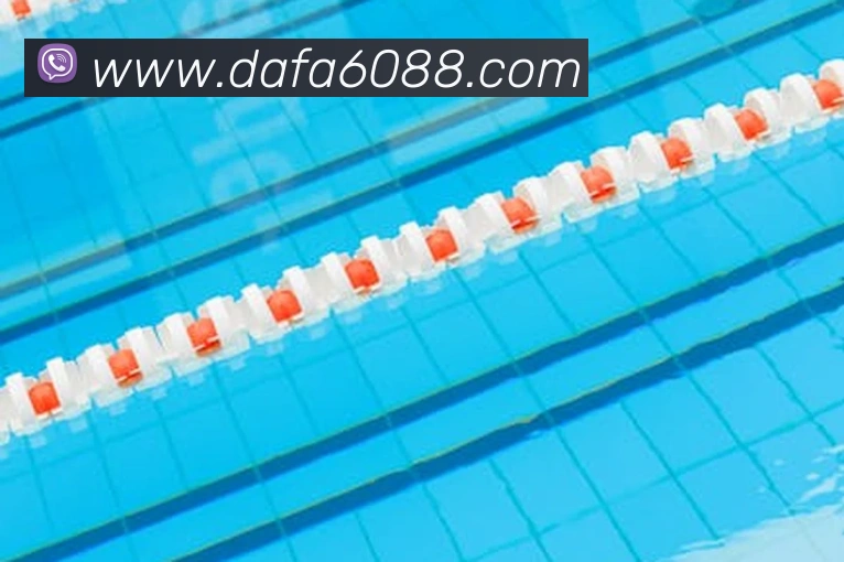 大发彩票娱乐APP 封面图