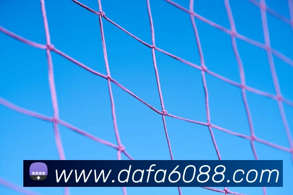 数据防护可视化